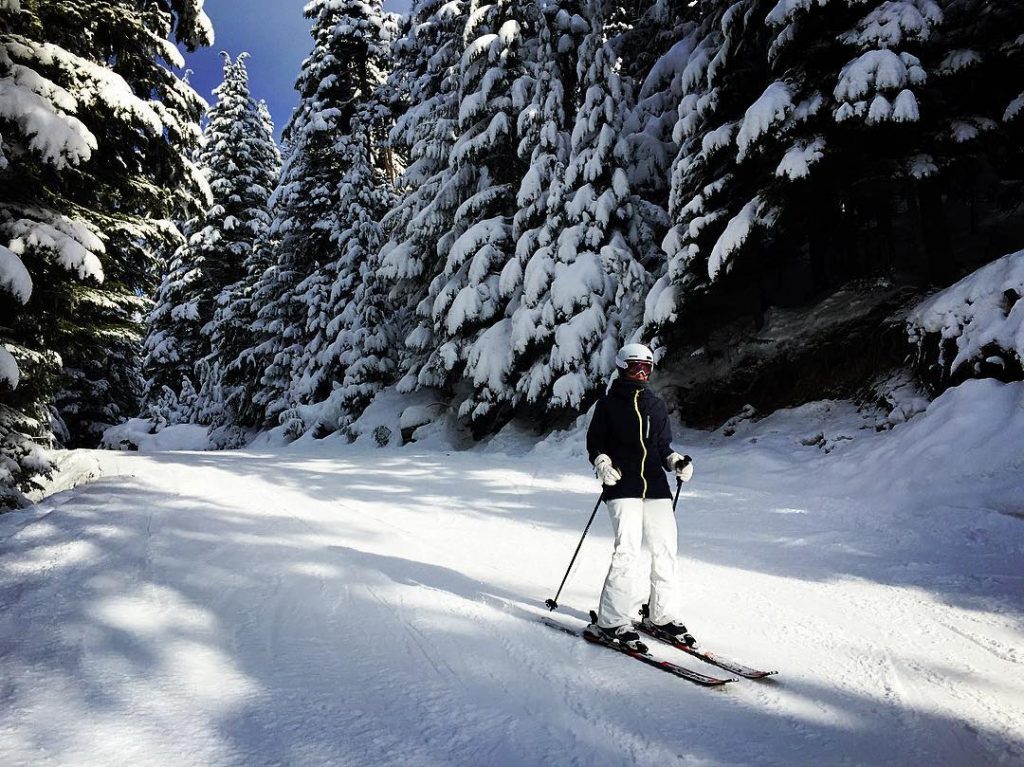 Bluebird day on Whistler Road